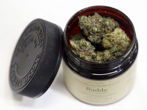 Badania wykazały brak powiązania między marihuaną i psychozą, GrubyLoL.com