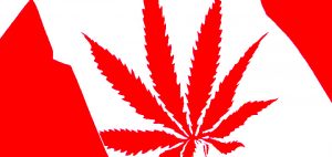 Trybunał decydował będzie o przyszłości medycznej marihuany w Kanadzie, GrubyLoL.com
