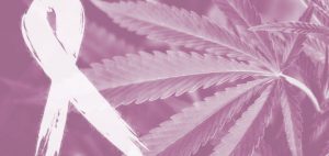 Czy marihuana może leczyć raka?, GrubyLoL.com