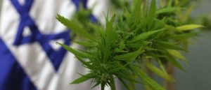 Izraelski Ariel University oferuje pierwszy w historii kurs o medycznej marihuanie, GrubyLoL.com