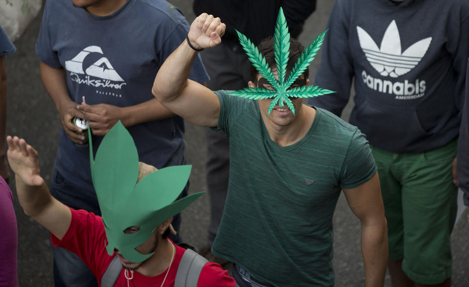Brazylijczycy żądają legalizacji marihuany, GrubyLoL.com