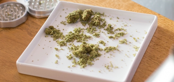 Marihuana – Podstawowa Wiedza na Jej Temat, GrubyLoL.com
