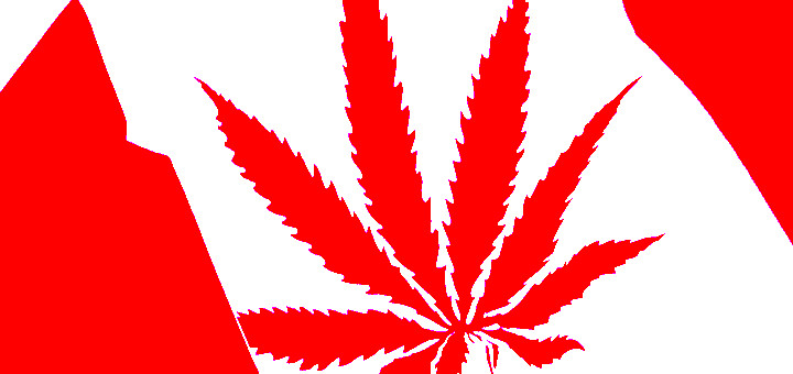 kanada-marihuana-flaga-kanady-marihuana-w-kanadzie-marihuana-na-swiecie