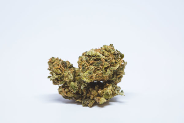 Recenzja Odmiany Marihuany Canna – Tsu, GrubyLoL.com